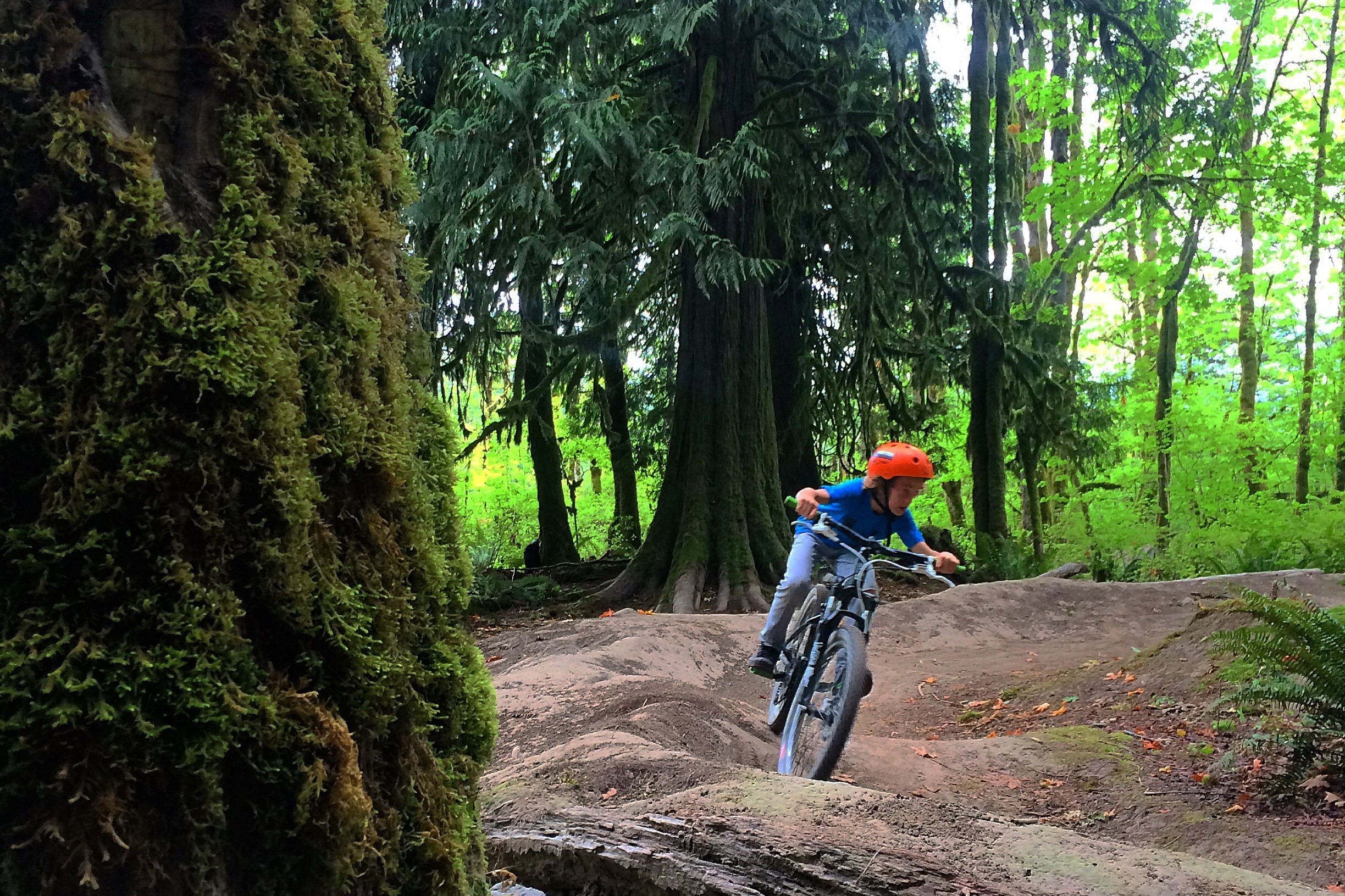 Biking with Kids in Squamish Image