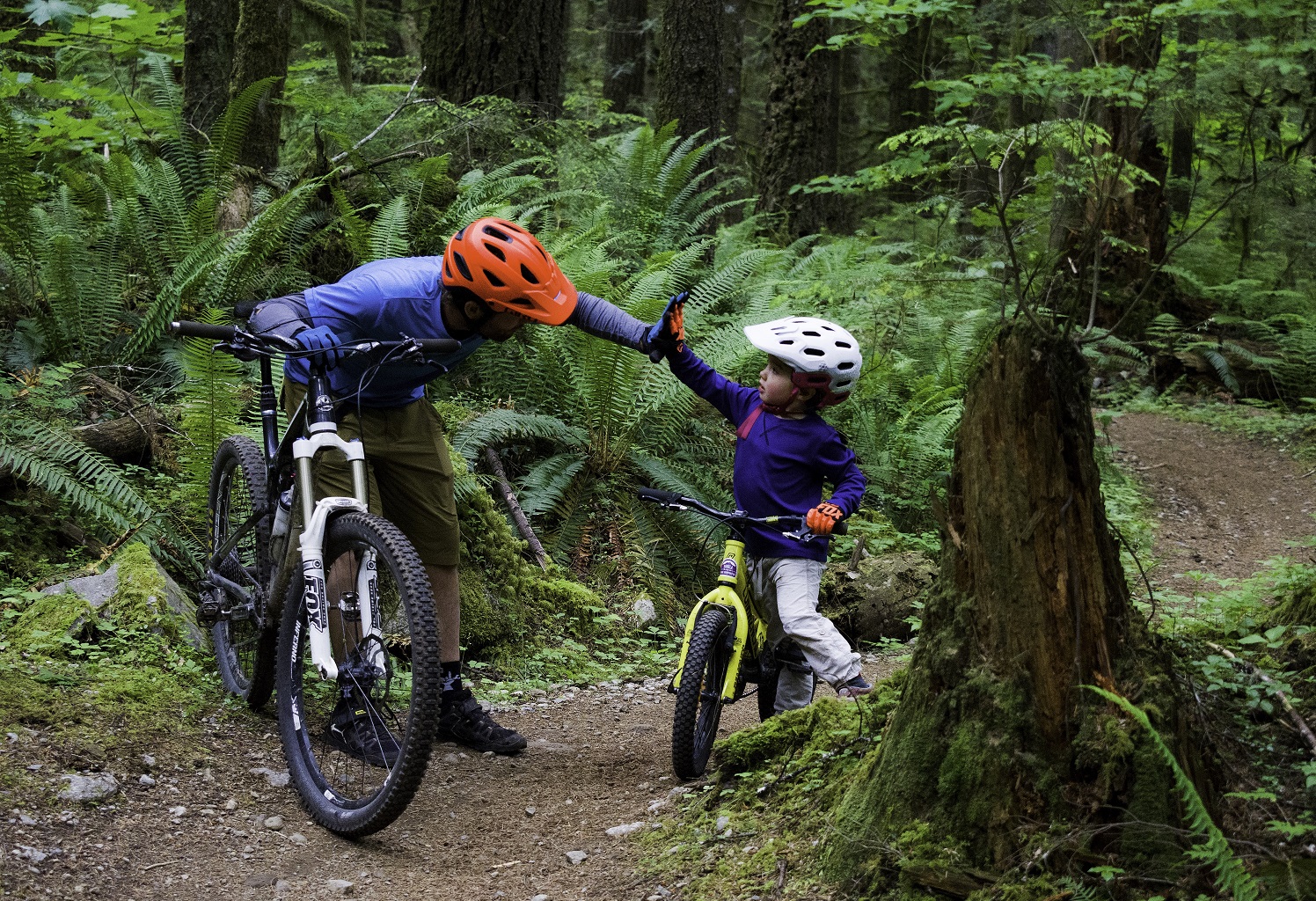 Biking with Kids in Squamish Image