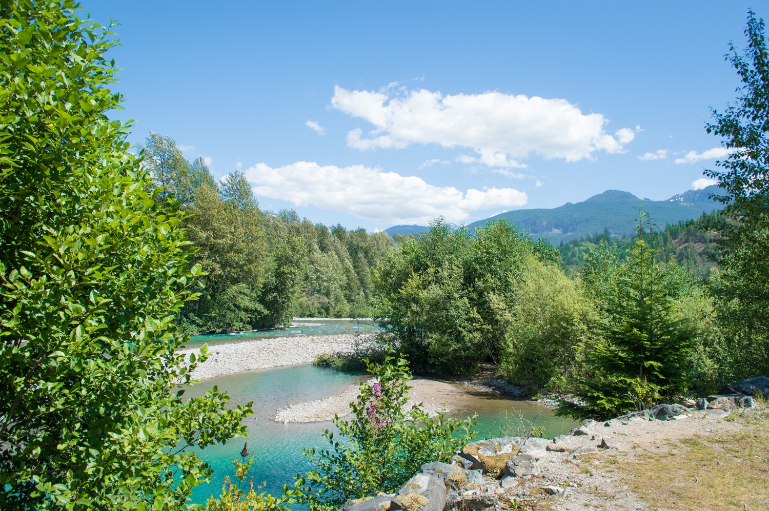 Mamquam River Campground | Tourism Squamish