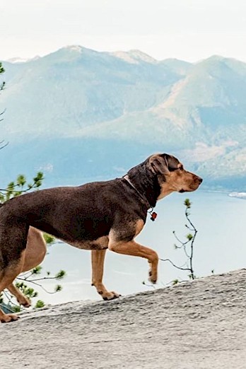Squamish on the Scene: Hollywood North