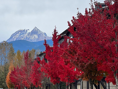 Colours in Downtown Squamish