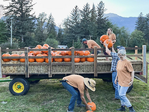 Pumpkin Patch at Lavendel Farms