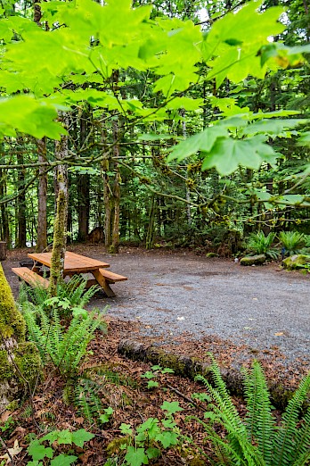 Campground in Squamish