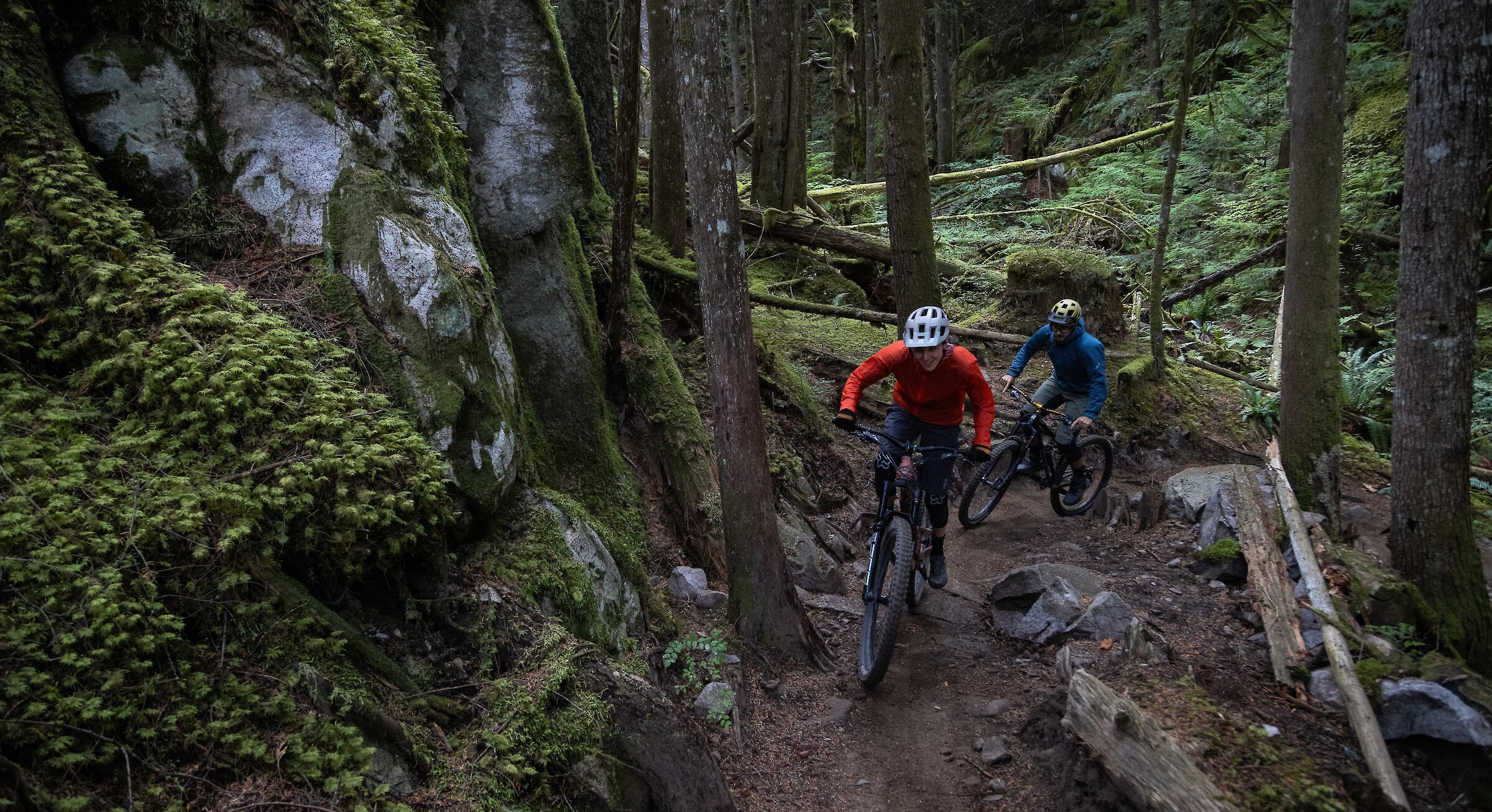 Two mountain bikers riding in the forest in Squamish