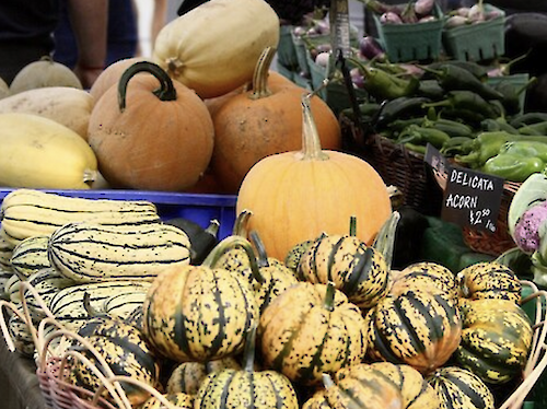 Squamish Farmers' Market