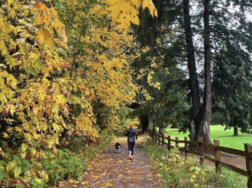 Family Friendly Hikes