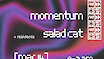 FWD❯❯ MOTION w/ Momentum // Salad Cat