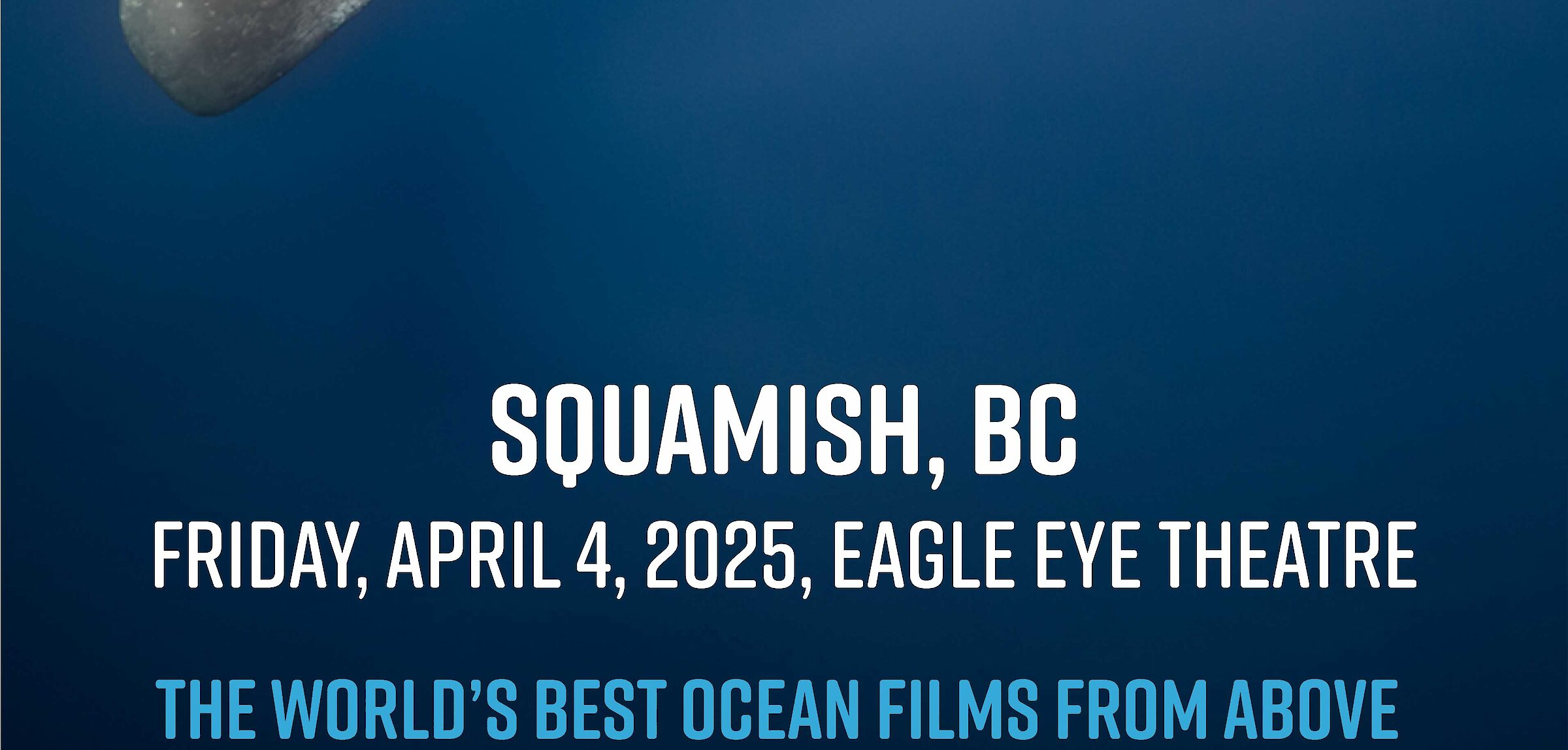 Ocean Film Festival Canada