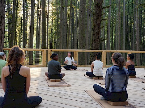 Forest Flow Yoga